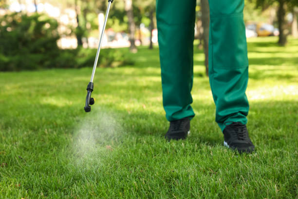 Best Mosquito Control Services  in New Holland, PA